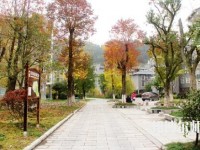 吉首師范大學(xué)張家界學(xué)院2023年學(xué)費(fèi)、收費(fèi)多少