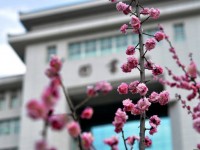 延安大學(xué)師范學(xué)院楊家?guī)X校區(qū)2023年學(xué)費(fèi)、收費(fèi)多少