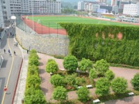 習水幼師職業(yè)技術學校2023年有哪些專業(yè)