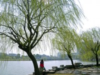 金華職業(yè)技術師范學院2023年學費、收費多少
