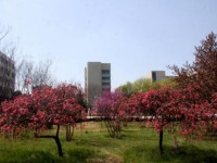 漯河職業(yè)技術(shù)師范學(xué)院2023年學(xué)費(fèi)、收費(fèi)多少