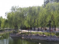 新鄉(xiāng)工程師范學(xué)院2023年學(xué)費(fèi)、收費(fèi)多少
