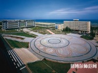 大連職業(yè)技術師范學院2023年網站網址