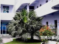 四川信息工程幼兒師范學(xué)校2023年報(bào)名條件、招生要求、招生對象