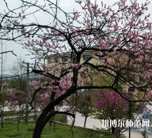貴陽中華幼師職業(yè)學(xué)校2023年怎么樣、好不好