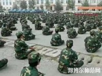 邯鄲技師幼兒師范學(xué)院2023年報名條件、招生要求、招生對象