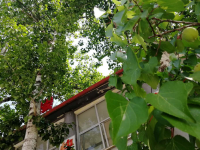 河北航空管理幼兒師范中等專業(yè)學(xué)校2023年怎么樣，好不好
