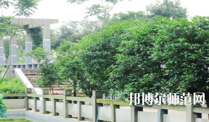 德陽(yáng)通用電子科技幼兒師范學(xué)校2020年報(bào)名條件、招生要求、招生對(duì)象