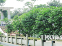 德陽通用電子科技幼兒師范學(xué)校2021年報名條件、招生要求、招生對象