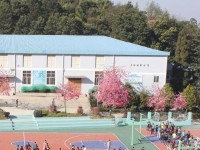 云南林業(yè)幼兒師范高級(jí)技工學(xué)校2023年學(xué)費(fèi)、收費(fèi)多少