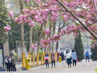 石家莊法商幼兒師范中等專業(yè)學(xué)校2023年學(xué)費(fèi)、收費(fèi)多少