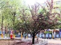 石家莊法商幼兒師范中等專業(yè)學校2023年報名條件、招生要求、招生對象