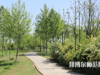 石家莊中英航空幼兒師范中等專業(yè)學校2023年怎么樣、好不好