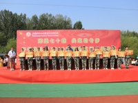 石家莊幼兒師范高等?？茖W(xué)校2023年是幾專