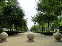 廣西現(xiàn)代職業(yè)技術(shù)師范學(xué)院2023年報名條件、招生要求、招生對象