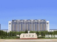 鐵嶺師范高等?？茖W校2023年報名條件、招生要求、招生對象