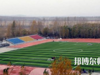 鶴崗師范高等?？茖W校2023年報名條件、招生要求、招生對象
