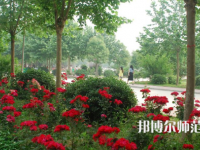 河南科技職業(yè)師范大學(xué)2023年報(bào)名條件、招生要求、招生對(duì)象