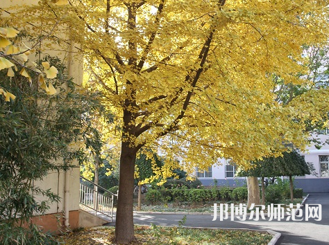 北京京北職業(yè)師范技術(shù)學院2023年報名條件、招生要求、招生對象