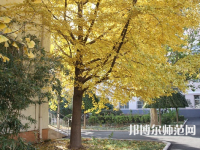 北京京北職業(yè)師范技術(shù)學(xué)院2023年報(bào)名條件、招生要求、招生對(duì)象