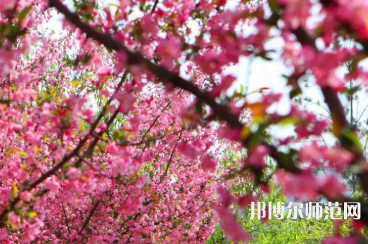 鄭州大學師范學院主校區(qū)2023年報名條件、招生要求、招生對象