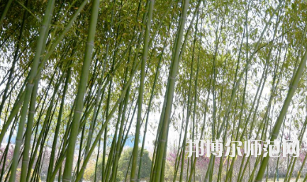 周口職業(yè)技術(shù)師范學(xué)院開元校區(qū)2023年報(bào)名條件、招生要求、招生對象