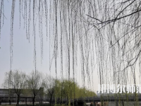 鶴壁職業(yè)技術(shù)師范學(xué)院2023年怎么樣、好不好