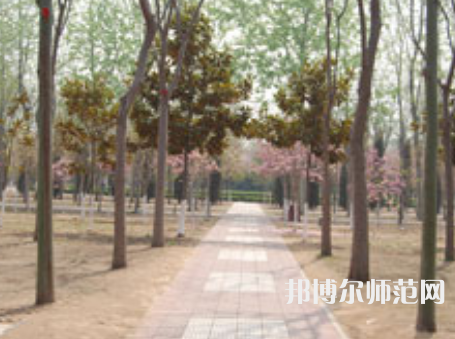 濮陽職業(yè)技術(shù)師范學(xué)院2023年報(bào)名條件、招生要求、招生對象