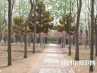 濮陽職業(yè)技術師范學院2023年報名條件、招生要求、招生對象