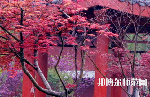 駐馬店師范職業(yè)技術學院2023年怎么樣、好不好