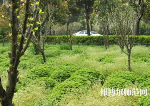 駐馬店師范職業(yè)技術學院2023年報名條件、招生要求、招生對象