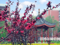 駐馬店師范職業(yè)技術(shù)學(xué)院2023年報(bào)名條件、招生要求、招生對(duì)象