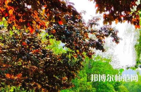 河南大學(xué)師范學(xué)院金明校區(qū)2023年怎么樣、好不好