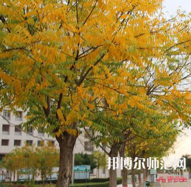 榆林職業(yè)技術(shù)師范學(xué)院2023年怎么樣、好不好