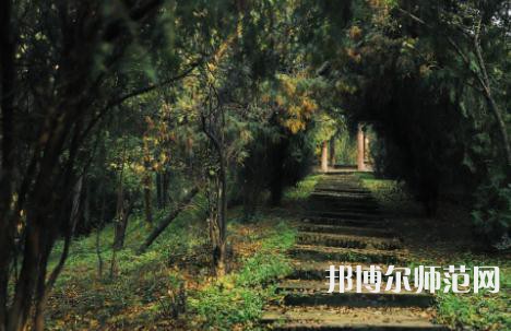 延安大學(xué)西安創(chuàng)新師范學(xué)院2023年怎么樣、好不好