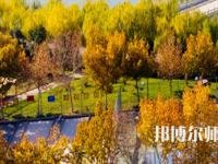 河南理工師范大學(xué)北校區(qū)2023年報(bào)名條件、招生要求、招生對(duì)象
