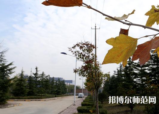 陜西職業(yè)技術(shù)師范學(xué)院2023年報名條件、招生要求、招生對象 