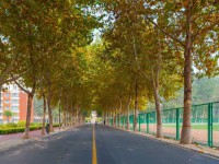 聊城師范大學(xué)東昌學(xué)院2023年報(bào)名條件、招生要求、招生對(duì)象