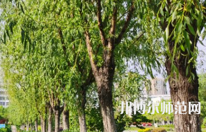 南陽理工師范學(xué)院2023年報(bào)名條件、招生要求、招生對(duì)象