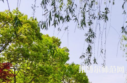 南陽理工師范學(xué)院2023年報(bào)名條件、招生要求、招生對(duì)象