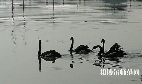 浙江師范大學(xué)行知學(xué)院蘭溪校區(qū)2023年怎么樣、好不好