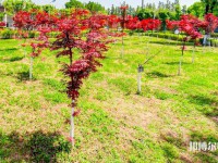 漢中職業(yè)技術(shù)師范學(xué)院2023年怎么樣、好不好