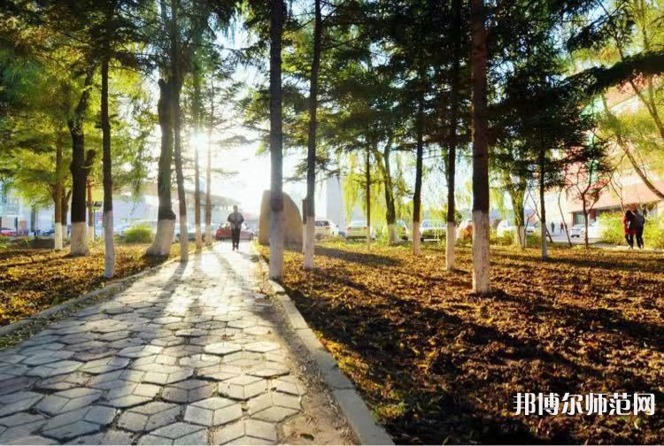 長春大學(xué)師范學(xué)院主校區(qū)2023年報名條件、招生要求、招生對象