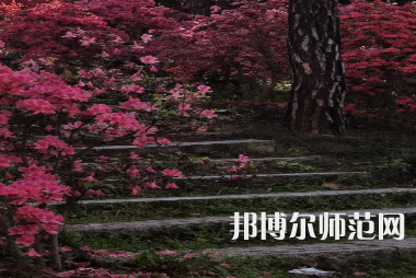 信陽(yáng)師范學(xué)院華銳學(xué)院2023年報(bào)名條件、招生要求、招生對(duì)象