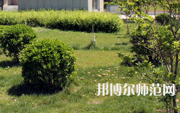 安陽幼兒師范高等?？茖W(xué)校歷年招生錄取分?jǐn)?shù)線