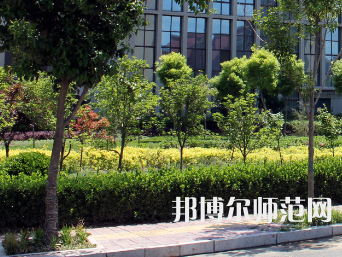 安陽幼兒師范高等?？茖W(xué)校2023年有哪些專業(yè)