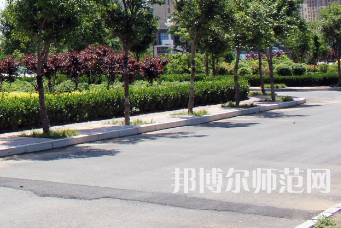 安陽幼兒師范高等?？茖W(xué)校2023年有哪些專業(yè)