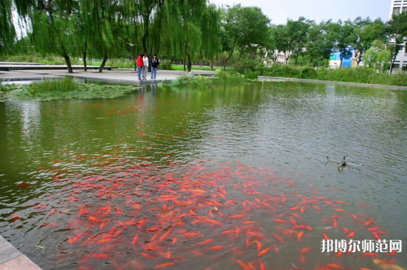 濰坊科技師范學(xué)院2023年怎么樣、好不好 