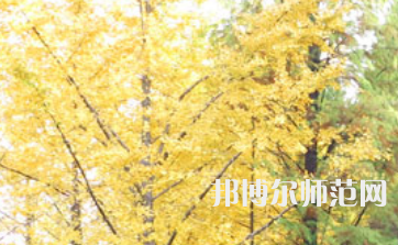 信陽師范學(xué)院2023年怎么樣、好不好