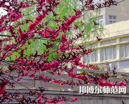 蘇州科技師范大學(xué)天平學(xué)院2023年報名條件、招生要求、招生對象